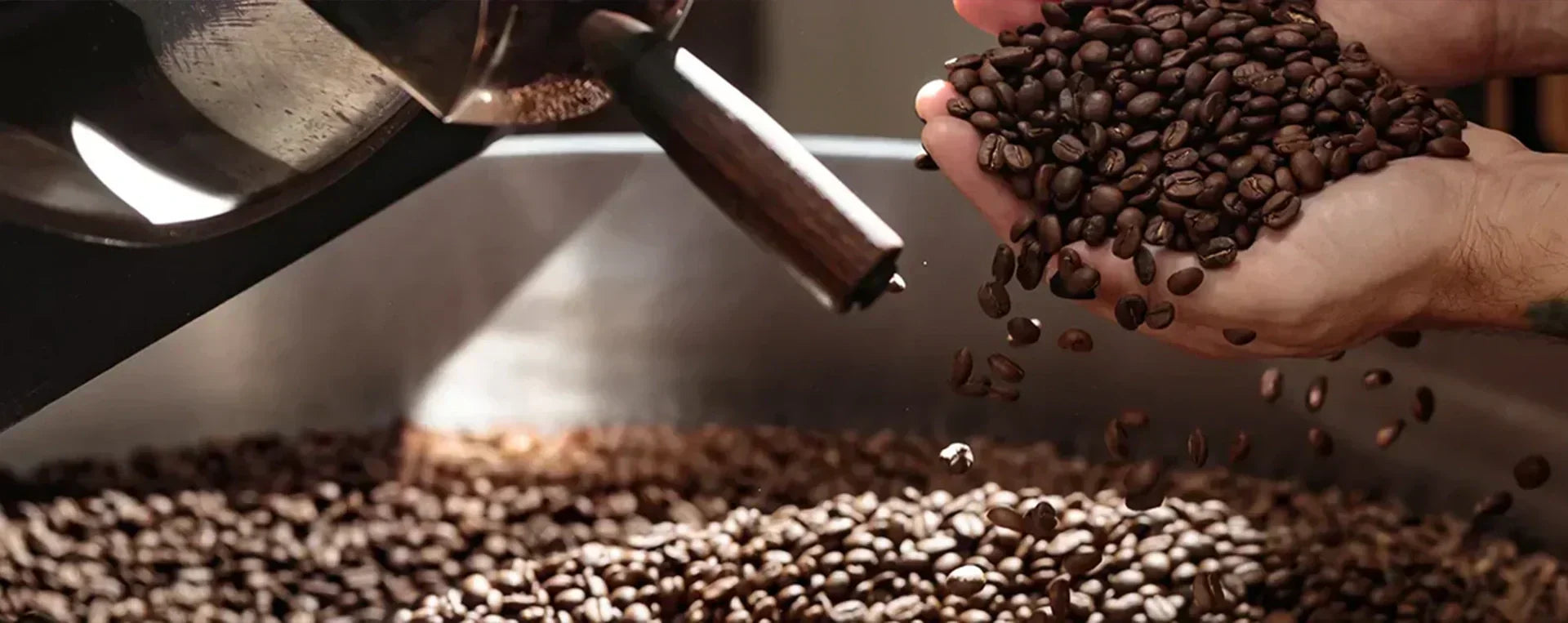 What Is Specialty Coffee? The Complete Guide to Coffee's Gold Standard