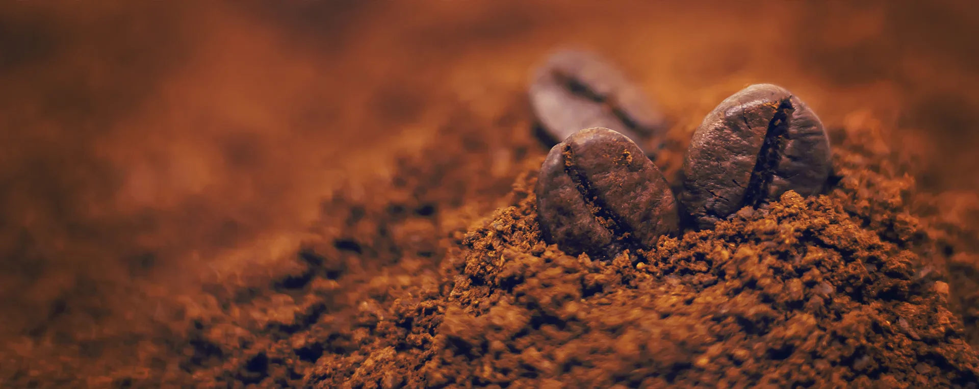 Whole bean vs ground coffee, Learn which is better for freshness, flavor, and value. Expert guide to specialty coffee quality and grinding tips from 40 Thieves Coffee Company