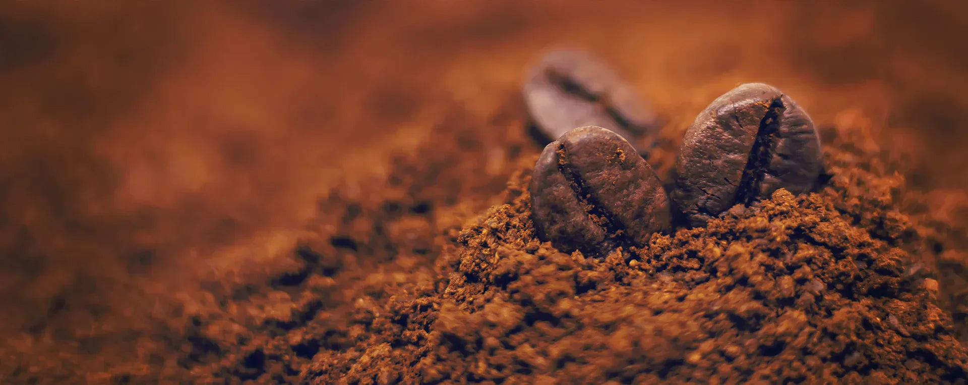 Whole bean vs ground coffee, Learn which is better for freshness, flavor, and value. Expert guide to specialty coffee quality and grinding tips from 40 Thieves Coffee Company