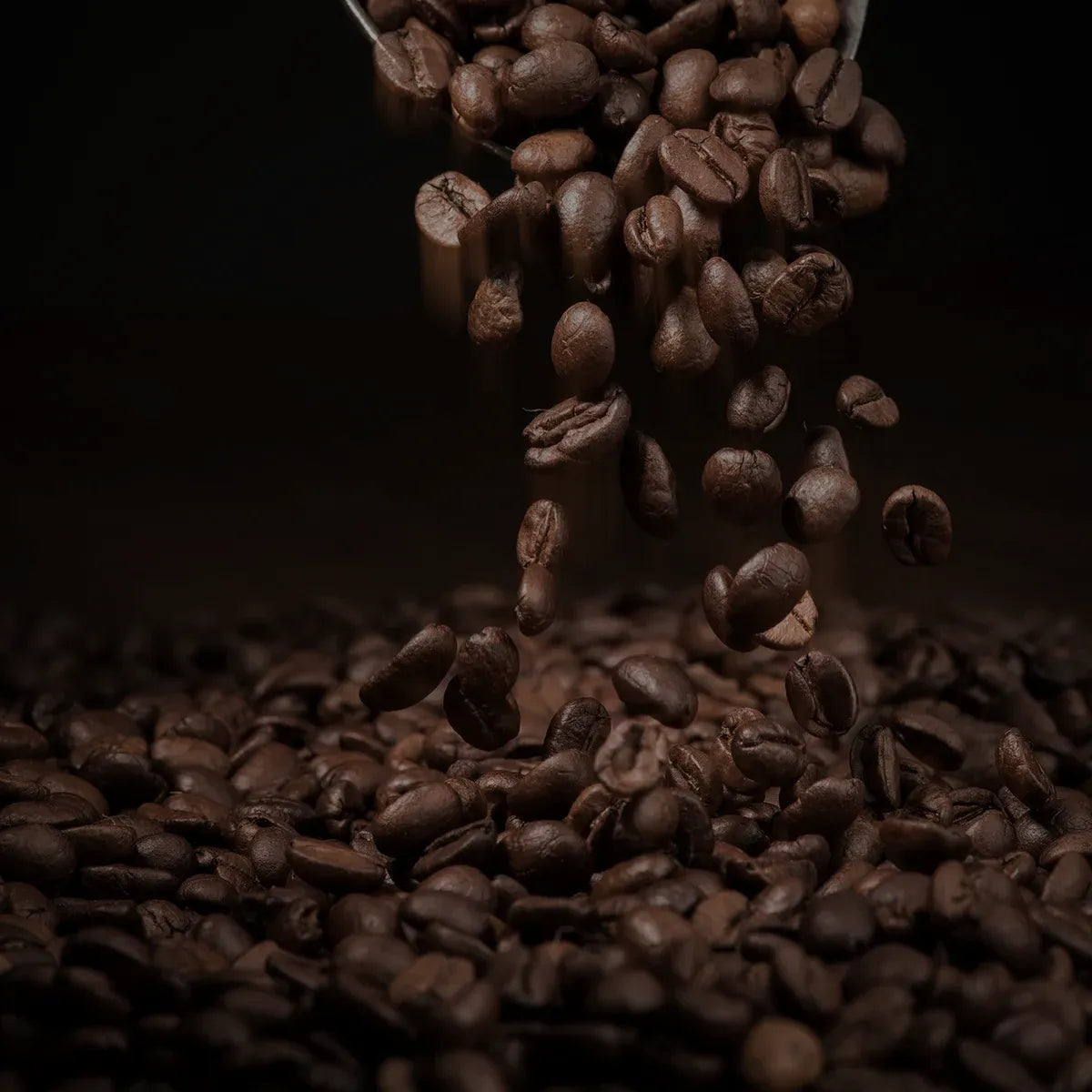 coffee-beans v2.webp__PID:0dce55c1-c697-4fdb-80f8-86bf9722d43b
